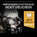 Visuel 4 sur 10