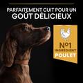 Visuel 4 sur 10