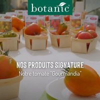 Nos produits signature : La tomate Gourmandia