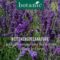 Des lavandes made in France à marque botanic® #CitoyensDeLaNature