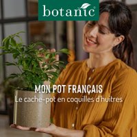 Mon Pot Français - Le cache-pot en coquilles d'huitres