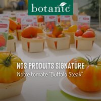 Nos produits signature : La tomate Buffalo Steak