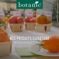 Nos produits signature : La tomate Corazon