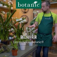 Découvrir les orchidées botanic®