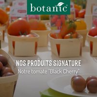 Nos produits signature : La tomate Black Cherry