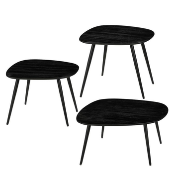 Visuel 1 du produit Table basse en bois recyclé noir Jailey T1 - 49 x 41 x 39 cm