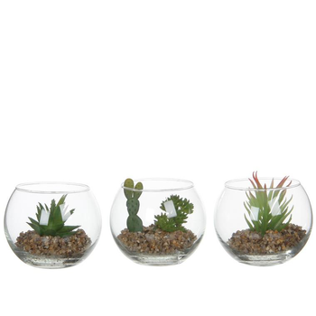 Visuel 1 du produit Succulente artificielle et bocal en verre 3 modÃ¨les H 8 cm x Ã˜ 10 cm