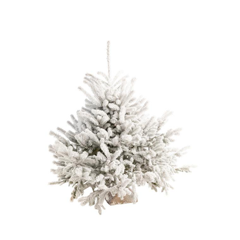 Visuel 1 du produit Sapin de Noël naturel blanc effet enneigé Diamant Robin® - 110 à 125 cm