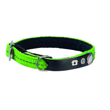 Visuel 1 du produit Collier chat Lost vert taille XS