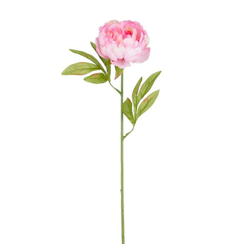 Visuel 1 du produit Tige de pivoine artificielle en plastique recyclé rose - 67 cm