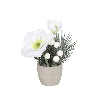 Visuel 1 du produit Composition givrée d'hellébores en pot - 15 cm