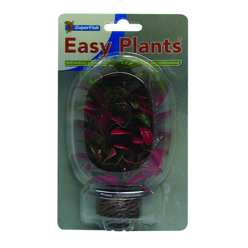 Visuel 1 du produit Plante artificielle aquarium rotala rouge, SUPERFISH Easy Plants - Taille standard