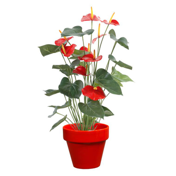 Visuel 1 du produit Pot horticole en terre cuite émaillée Rouge – D25 x H23