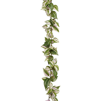 Visuel 1 du produit Guirlande artificielle verte de Tradescantia - 180 x 12 x 5 cm