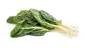 Visuel 1 du produit Blette pied bio - Prix au kg
