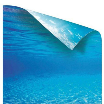 Visuel 1 du produit Poster 2 pour aquarium taille XL 150x50 cm