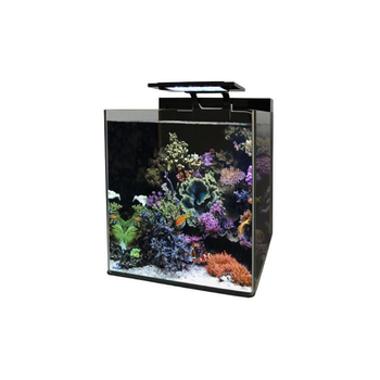 Visuel 1 du produit Bm Aquarium eau de mer Reef 60 35x45x40 cm