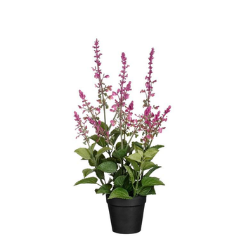 Visuel 1 du produit Sauge artificielle rose fuchsia en pot - Ø 20 x H 43 cm