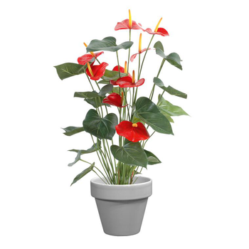 Visuel 1 du produit Pot horticole émaillé gris Ø 25 cm