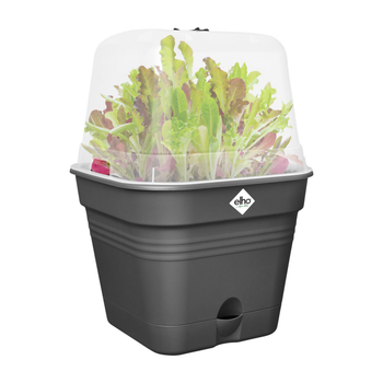 Visuel 1 du produit Pot de culture carré coloris living noir Elho Green Basics Allin1 - Ø 15 cm