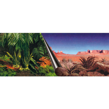 Visuel 1 du produit Poster jungle – désert 120x50 cm