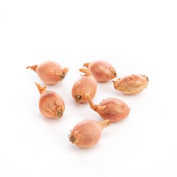 Visuel 1 du produit Échalote bio - Prix au kg