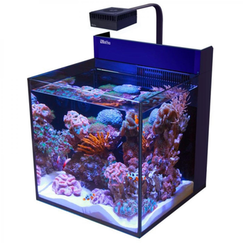 Visuel 1 du produit Aquarium marin Cube G2 Nano + meuble blanc, RED SEA AQUARIUM - modèle Max
