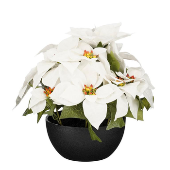 Visuel 1 du produit Plante artificielle Poinsettia blanc en pot - Ø 35 x H 30 cm