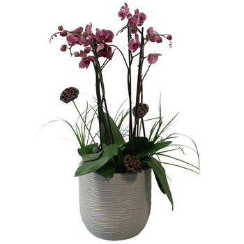 Visuel 1 du produit Pot rond en corde Ø 27 cm