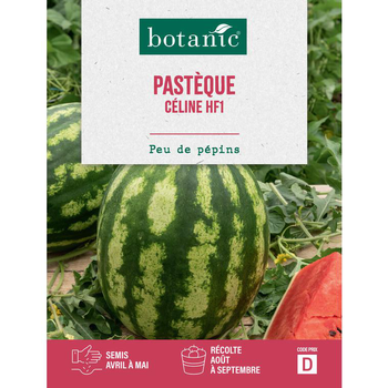 Visuel 1 du produit Graines de melon d'eau (pastèque) Pauline HF1 botanic® - graines à semer