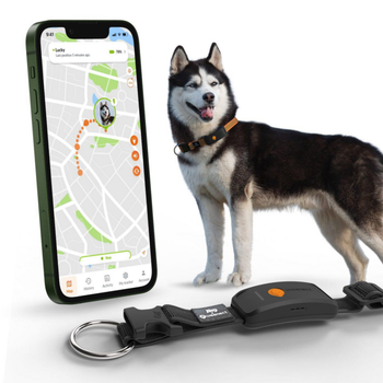 Visuel 1 du produit Collier GPS pour chien coloris noir Weenect XT