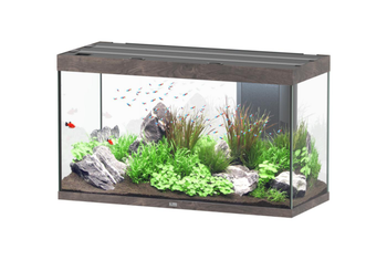 Visuel 1 du produit Aquarium coloris chêne foncé Aquatlantis Sublime Ultra LED 2.0 333 L - 120 x 50 x 70 cm