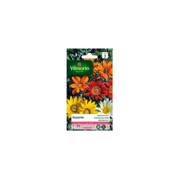 Visuel 1 du produit Graines de Gazania Splendens varié Vilmorin - graines à semer