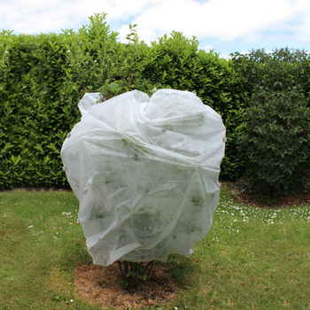 Visuel 1 du produit Voile d'hivernage pour plantes 30g/m² Jany France - 2 x 5 m