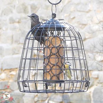 Visuel 1 du produit Cage de protection anti-étourneaux noire en métal Ø 27,5 x 25 cm