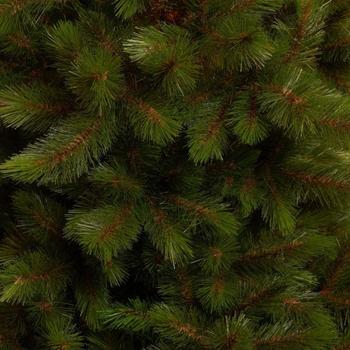 Visuel 1 du produit Sapin de Noël artificiel vert Wyoming