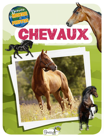Visuel 1 du produit Livre pour enfants "Chevaux découvre le monde"