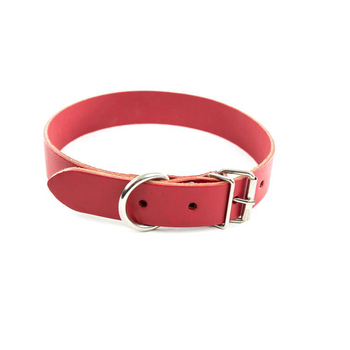 Visuel 1 du produit Collier en cuir rouge pour chien 2,2x47 cm