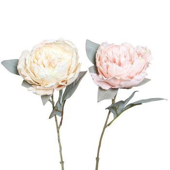Visuel 1 du produit Fleur artificielle pivoine coloris rose - 66 cm