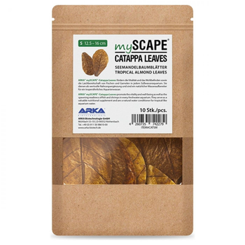 Visuel 1 du produit Feuilles de badamier taille S, ARKA myScape-Catappa - 10 pièces de 12,5/16 cm