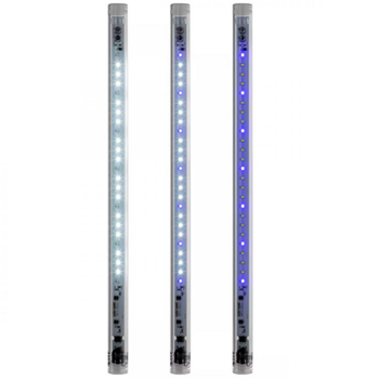 Visuel 1 du produit Tube LED pour aquarium Day & Night, 10W, à effet marin, AQUAEL Leddy 2.0 - 41.5cm