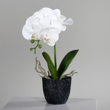 Visuel 1 du produit Orchidée Phalaénopsis artificielle blanche en pot céramique crème – 48 cm