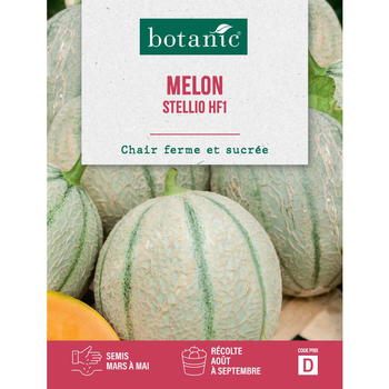 Visuel 1 du produit Graines de melon stellio HF1 botanic® - graines à semer