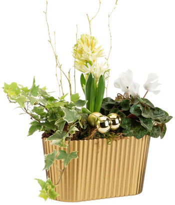 Visuel 1 du produit Composition de plantes pot doré festif Pagode or - 20 cm