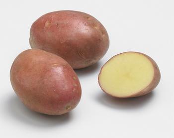 Visuel 1 du produit Sachet de pommes de terre desiré calibre 28/35 - 1,5 kg