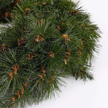 Visuel 2 du produit Couronne de Noël artificielle Forest - Ø 90 cm