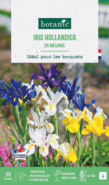 Visuel 1 du produit Iris hollandica en mélange botanic® - 25 bulbes