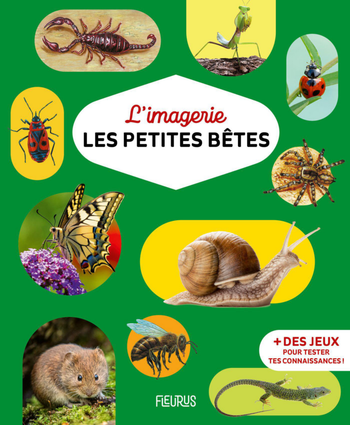 Visuel 1 du produit Livre "L'imagerie Les petites bêtes" Éditions Fleurus