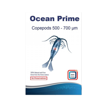 Visuel 1 du produit Copepods Ocean Prime 500 - 700 µm, nourriture pour poisson, DVH AQUATIC - 50g