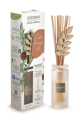 Visuel 1 du produit Bouquet parfumé initial avec recharge Cèdre sauvage Esteban - 100 ml